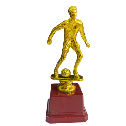 كأس التميز في كرة القدم " كأس اللاعب الذهبي "
